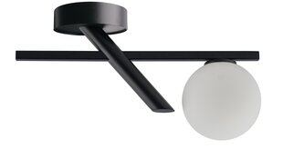 Потолочный светильник ZOE 33324 цена и информация | Потолочные светильники | pigu.lt