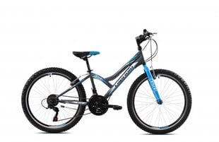 Товар с повреждением. Детский велосипед Capriolo MTB Diavolo 400 24", серый/синий цена и информация | Товары с повреждениями | pigu.lt