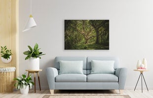 Paveikslas Senovinis medis, 100x70 cm kaina ir informacija | Reprodukcijos, paveikslai | pigu.lt
