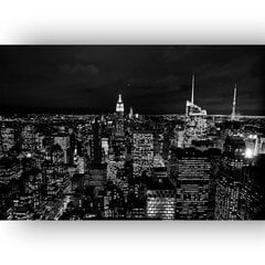 Paveikslas Manheteno panorama, 100x70 cm kaina ir informacija | Reprodukcijos, paveikslai | pigu.lt