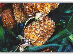 Paveikslas Ananasai, 100x70 cm kaina ir informacija | Reprodukcijos, paveikslai | pigu.lt