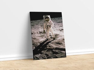Paveikslas Edwin Aldrin Mėnulyje, 100x70 cm kaina ir informacija | Reprodukcijos, paveikslai | pigu.lt