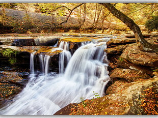 Paveikslas Rudens krioklys, 100x70 cm kaina ir informacija | Reprodukcijos, paveikslai | pigu.lt