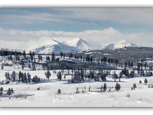 Paveikslas Snieguoti kalnai, 100x70 cm kaina ir informacija | Reprodukcijos, paveikslai | pigu.lt