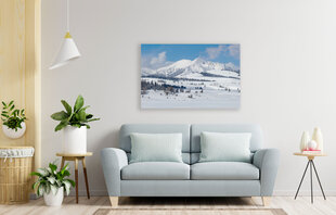 Paveikslas Žiemos peizažas, 100x70 cm kaina ir informacija | Reprodukcijos, paveikslai | pigu.lt