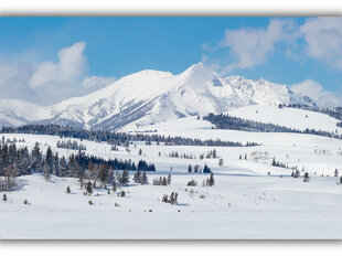 Paveikslas Žiemos peizažas, 100x70 cm kaina ir informacija | Reprodukcijos, paveikslai | pigu.lt