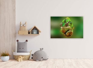 Paveikslas Chameleonas, 100x70 cm kaina ir informacija | Reprodukcijos, paveikslai | pigu.lt