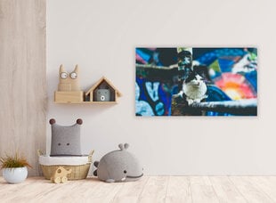 Картина Городская кошка, 100x70 см цена и информация | Репродукции, картины | pigu.lt