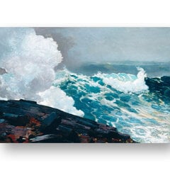 Reprodukcija Northeaster (Winslow Homer), 100x70 cm kaina ir informacija | Reprodukcijos, paveikslai | pigu.lt