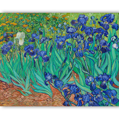 Reprodukcija Irises (1889) (Vincent van Gogh), 100x70 cm kaina ir informacija | Reprodukcijos, paveikslai | pigu.lt