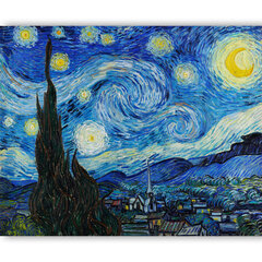 Reprodukcija The Starry Night (Vincent van Gogh), 100x70 cm kaina ir informacija | Reprodukcijos, paveikslai | pigu.lt