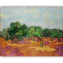 Reprodukcija Olive Trees (Vincent van Gogh), 100x70 cm kaina ir informacija | Reprodukcijos, paveikslai | pigu.lt