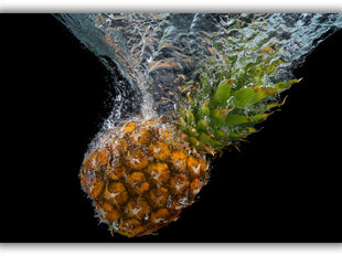 Paveikslas Ananasas, 60x80 cm kaina ir informacija | Reprodukcijos, paveikslai | pigu.lt