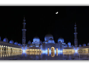 Paveikslas Naktinis Dubajus, 60x80 cm kaina ir informacija | Reprodukcijos, paveikslai | pigu.lt