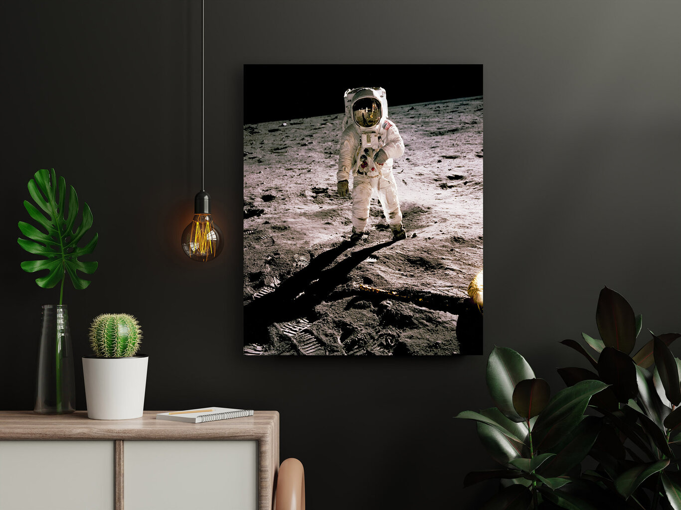 Paveikslas Edwin Aldrin Mėnulyje, 60x80 cm kaina ir informacija | Reprodukcijos, paveikslai | pigu.lt