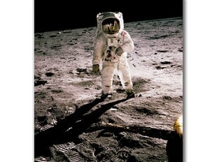 Paveikslas Edwin Aldrin Mėnulyje, 60x80 cm kaina ir informacija | Reprodukcijos, paveikslai | pigu.lt