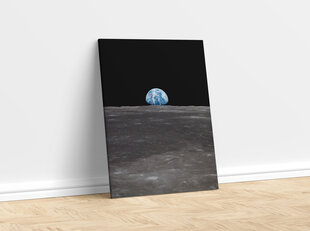 Paveikslas Žemė iš Mėnulio, 60x80 cm kaina ir informacija | Reprodukcijos, paveikslai | pigu.lt