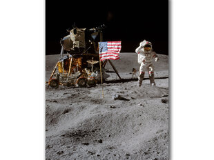 Paveikslas John W. Young Mėnulyje, 60x80 cm kaina ir informacija | Reprodukcijos, paveikslai | pigu.lt