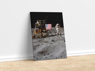 Paveikslas John W. Young Mėnulyje, 60x80 cm kaina ir informacija | Reprodukcijos, paveikslai | pigu.lt
