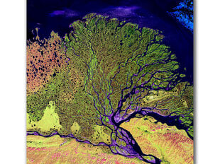 Paveikslas Upė iš kosmoso, 60x80 cm kaina ir informacija | Reprodukcijos, paveikslai | pigu.lt