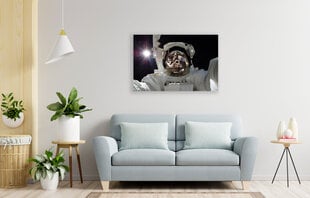 Paveikslas Astronautas, 60x80 cm kaina ir informacija | Reprodukcijos, paveikslai | pigu.lt