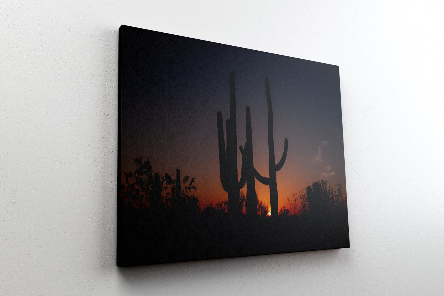 Paveikslas Kaktusai, 60x80 cm kaina ir informacija | Reprodukcijos, paveikslai | pigu.lt