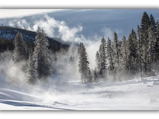 Paveikslas Žiemos rūkas, 60x80 cm kaina ir informacija | Reprodukcijos, paveikslai | pigu.lt