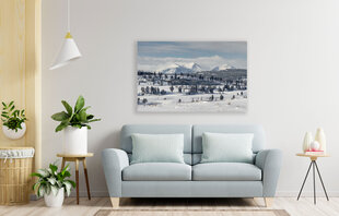 Paveikslas Snieguoti kalnai, 60x80 cm kaina ir informacija | Reprodukcijos, paveikslai | pigu.lt