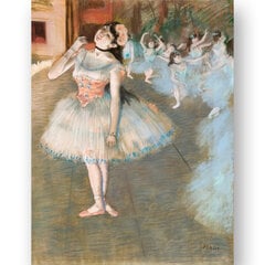 Reprodukcija The star (Edgar Degas), 60x80 cm kaina ir informacija | Reprodukcijos, paveikslai | pigu.lt