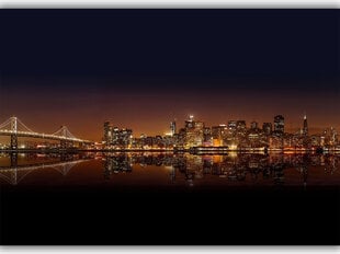 Paveikslas San Francisko panorama, 40x60 cm kaina ir informacija | Reprodukcijos, paveikslai | pigu.lt