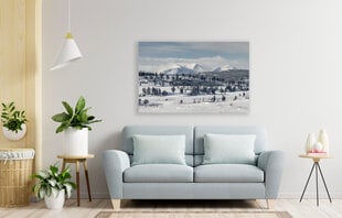 Paveikslas Snieguoti kalnai, 40x60 cm kaina ir informacija | Reprodukcijos, paveikslai | pigu.lt