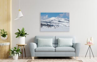 Paveikslas Žiemos peizažas, 40x60 cm kaina ir informacija | Reprodukcijos, paveikslai | pigu.lt