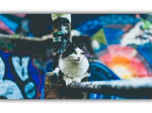 Картина Городская кошка, 40x60 см цена и информация | Репродукции, картины | pigu.lt