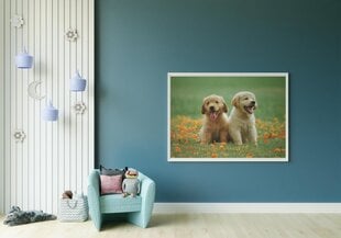 Картина Два щенка, 40x60 см цена и информация | Репродукции, картины | pigu.lt