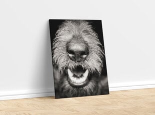 Paveikslas Šuns nosis, 40x60 cm kaina ir informacija | Reprodukcijos, paveikslai | pigu.lt
