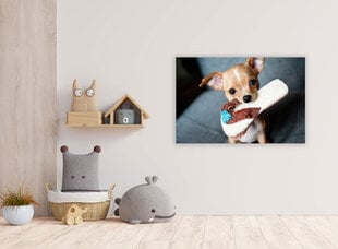 Картина Собака с тапочкой, 40x60 см цена и информация | Репродукции, картины | pigu.lt