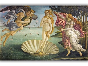 Reprodukcija The Birth of Venus (Sandro Botticelli), 40x60 cm kaina ir informacija | Reprodukcijos, paveikslai | pigu.lt