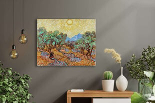 Reprodukcija Olive Trees (Vincent van Gogh), 40x60 cm kaina ir informacija | Reprodukcijos, paveikslai | pigu.lt