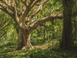 Paveikslas Senovinis medis, 30x40 cm kaina ir informacija | Reprodukcijos, paveikslai | pigu.lt