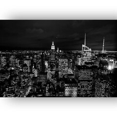 Paveikslas Manheteno panorama, 30x40 cm kaina ir informacija | Reprodukcijos, paveikslai | pigu.lt