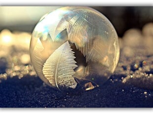 Paveikslas Muilo burbulas, 30x40 cm kaina ir informacija | Reprodukcijos, paveikslai | pigu.lt