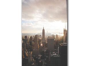 Paveikslas Manhetenas rūke, 30x40 cm kaina ir informacija | Reprodukcijos, paveikslai | pigu.lt