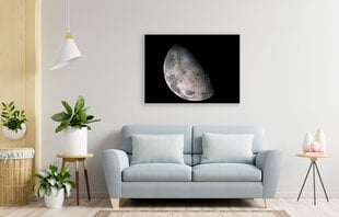 Paveikslas Mėnulis, 30x40 cm kaina ir informacija | Reprodukcijos, paveikslai | pigu.lt