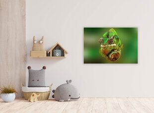 Paveikslas Chameleonas, 30x40 cm kaina ir informacija | Reprodukcijos, paveikslai | pigu.lt