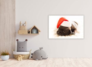 Paveikslas Miegantis šuniukas, 30x40 cm kaina ir informacija | Reprodukcijos, paveikslai | pigu.lt