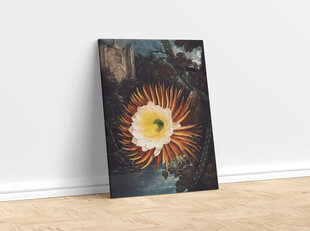 Plakatas Night-Blowing Cereus, 59x84 cm (A1), kaina ir informacija | Reprodukcijos, paveikslai | pigu.lt