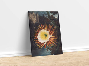 Plakatas Night-Blowing Cereus, 42x59 cm (A2), kaina ir informacija | Reprodukcijos, paveikslai | pigu.lt