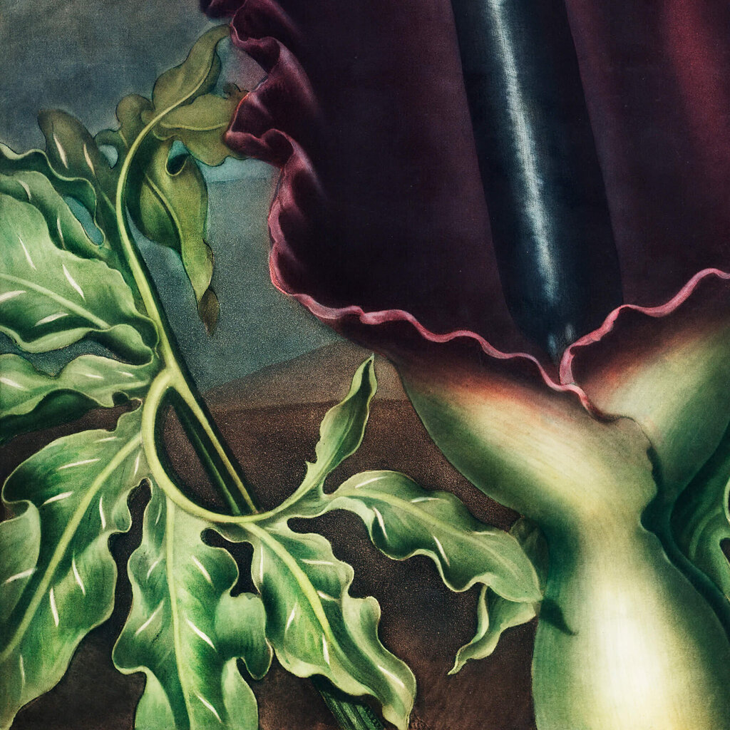 Plakatas Dragon Arum, 42x59 cm (A2), kaina ir informacija | Reprodukcijos, paveikslai | pigu.lt