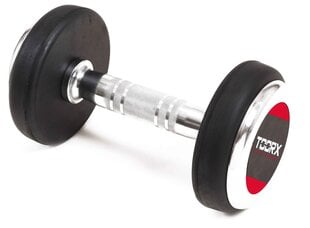 Svarmuo Toorx Fitness Mgp Professional, 18 kg kaina ir informacija | Svoriai, svarmenys, štangos | pigu.lt