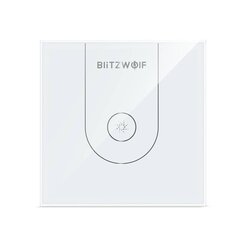 Wi-Fi jungiklis boileriui BlitzWolf BW-SS10 kaina ir informacija | Elektros jungikliai, rozetės | pigu.lt
